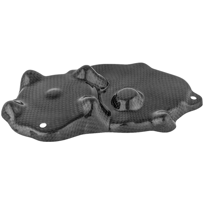 Pick-up cover carbon LighTech Kawasaki ZX-6R/636/RR (09-25) CARK9518
