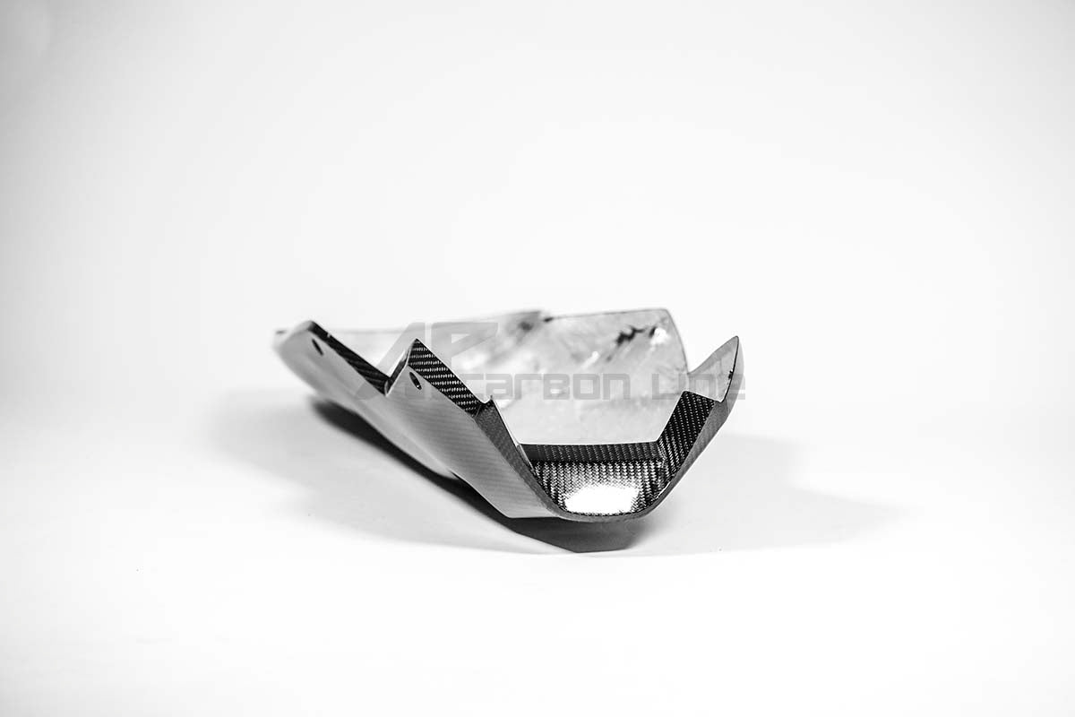 Bugpoiler 200g AP Carbon Line Aprilia RSV4/RR/1100 Factory (21-25)