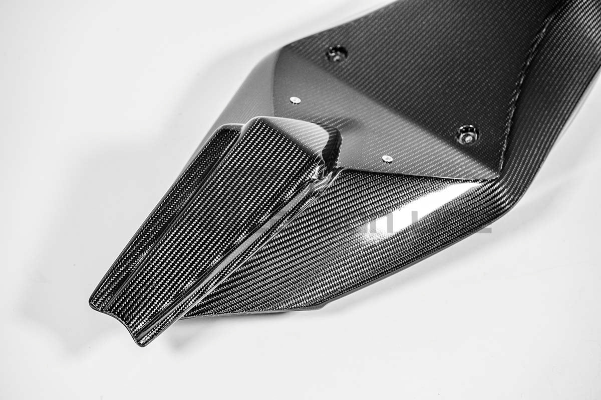 Heck cover 200g AP carbon line Aprilia RSV4/RR/1100 Factory (21-25)