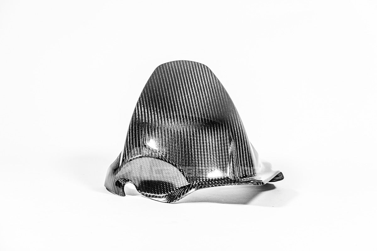 Rear fender 200g ap carbon line ducati panigale V4/s (2025)