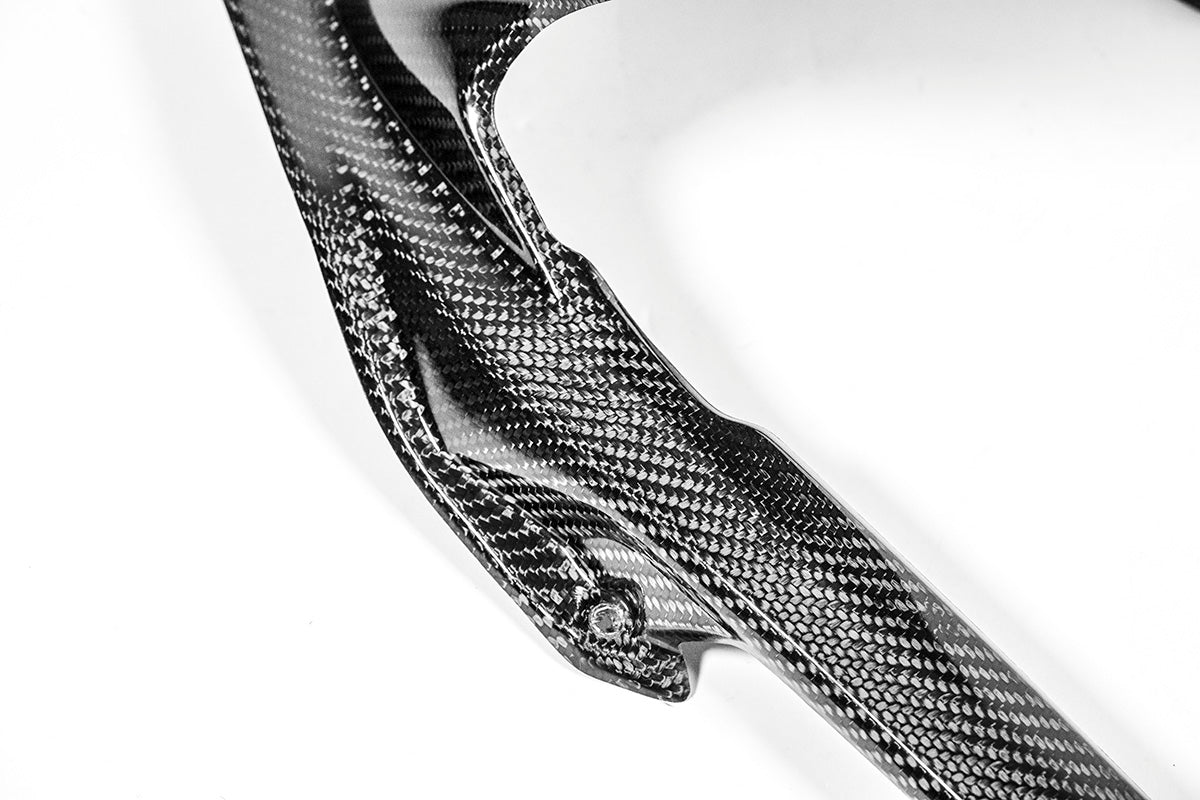 Rear fender 200g ap carbon line ducati panigale V4/s (2025)