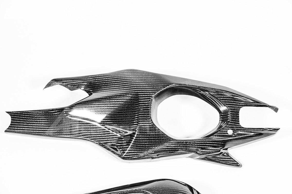 Wing covers 200g AP carbon line ducati Panigale V4/s (2025)
