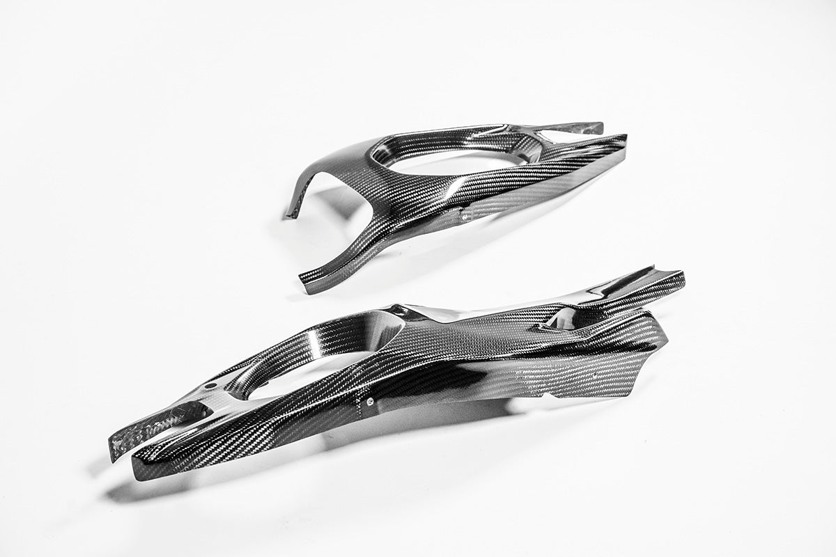 Wing covers 200g AP carbon line ducati Panigale V4/s (2025)