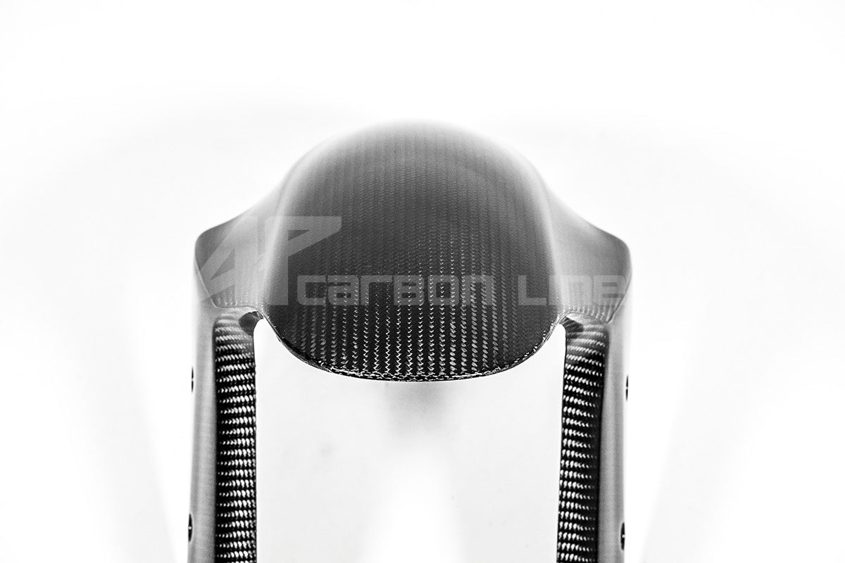 Front fenders 200g AP carbon line ducati panigale V4/s (2025)