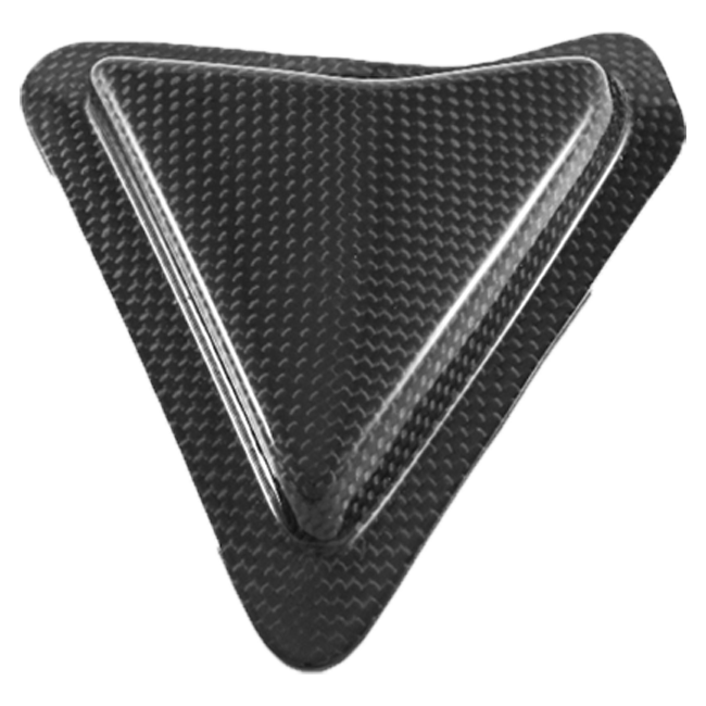 Slider swing protection Carbon Fullsix Ducati Panigale V2 955 (20-24)