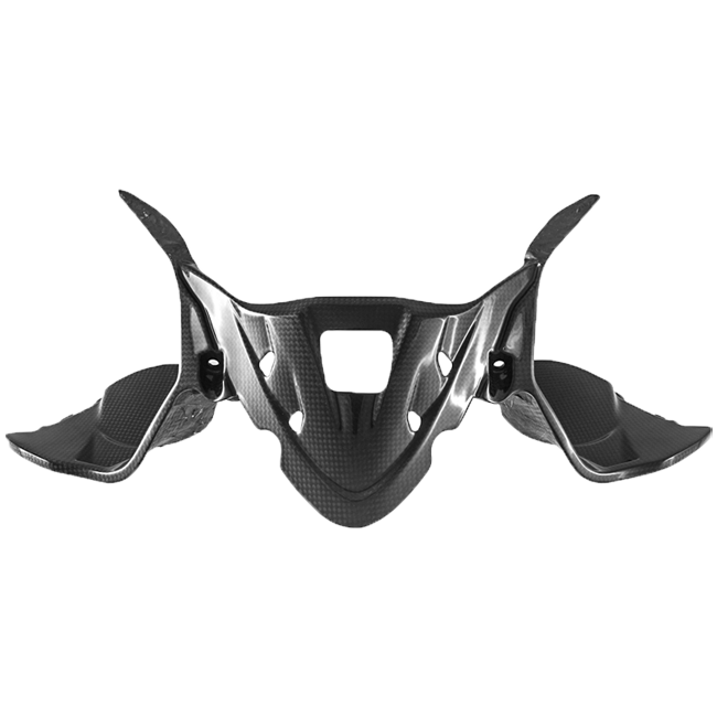 Instrument cover Carbon Fullsix Ducati Panigale 959 (16-19)