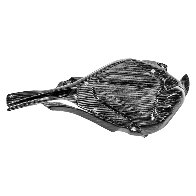 ECU Abdeckung inkl. Kühlkanal 200g AP Carbon Line Yamaha YZF-R1/M RN65 (20-25)