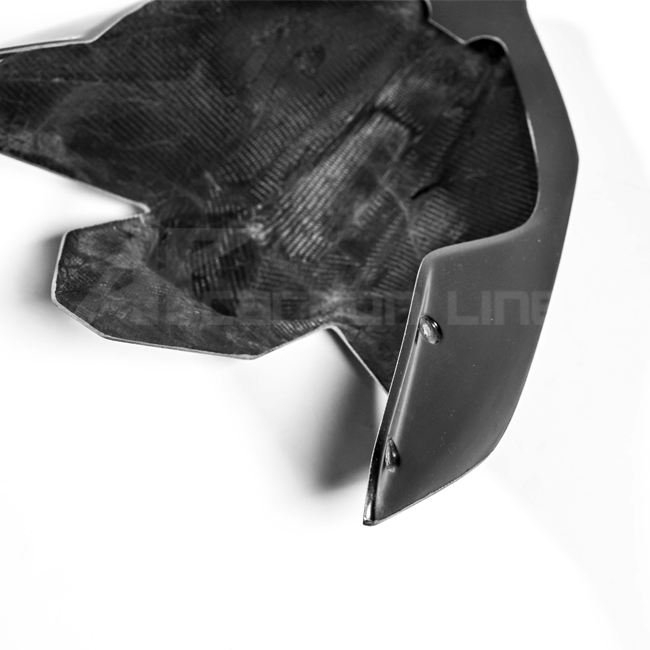 Heckverkleidung Lavatex AP Carbon Line Ducati Panigale V4/S (2025)