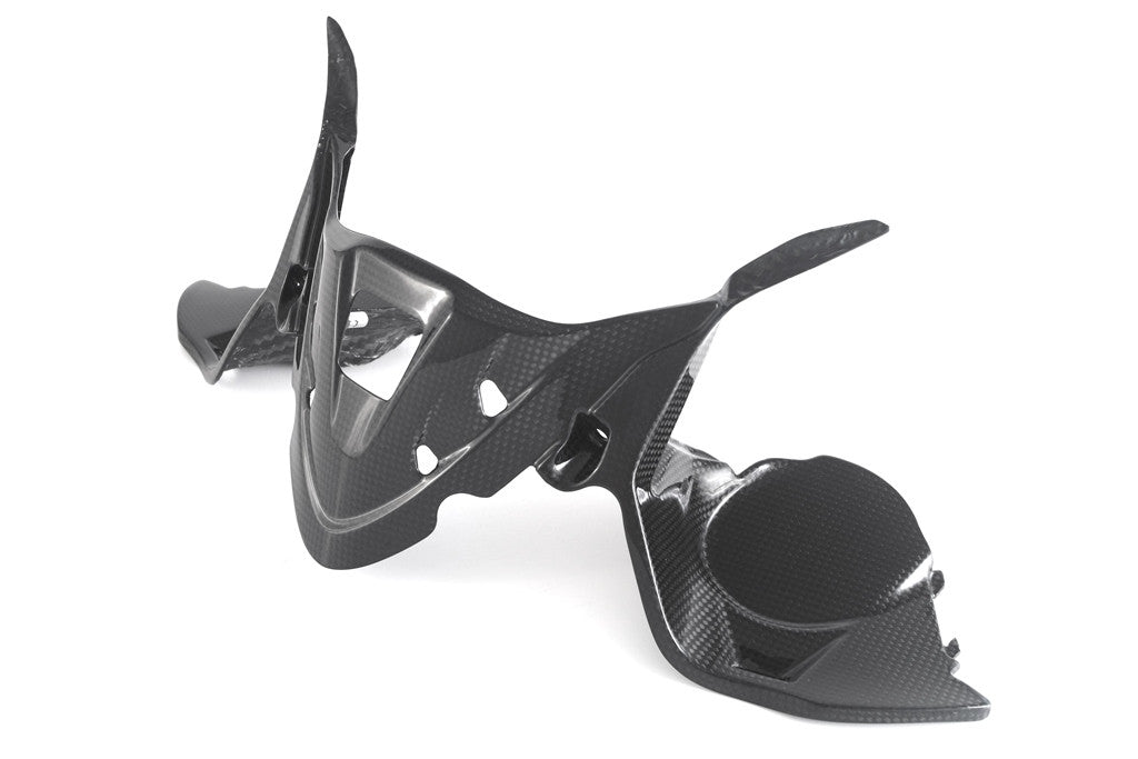 Instrument cover Carbon Fullsix Ducati Panigale 959 (16-19)