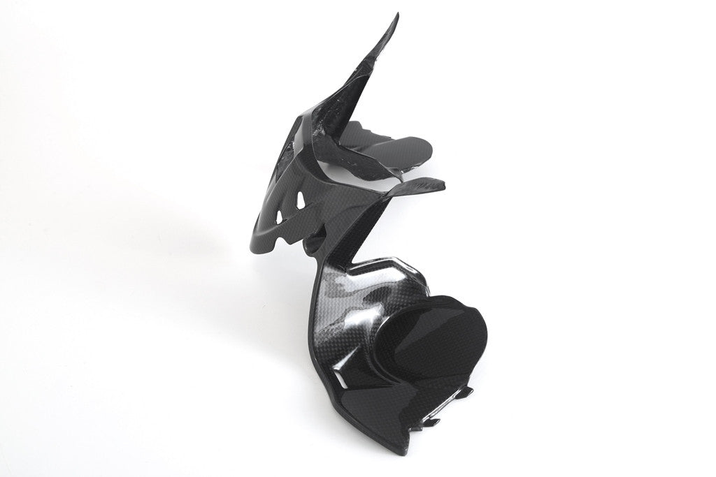 Instrument cover Carbon Fullsix Ducati Panigale 959 (16-19)