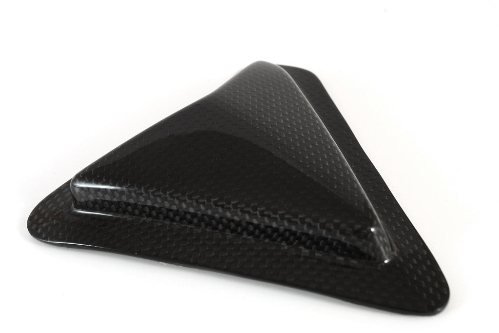 Slider swing protection Carbon Fullsix Ducati Panigale 1199/R/S (12-17)