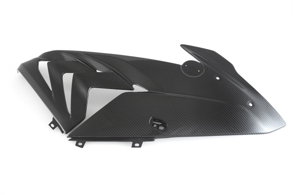 Revestimiento del lado derecho Carbon Fullsix BMW S1000RR K46 (15-18)