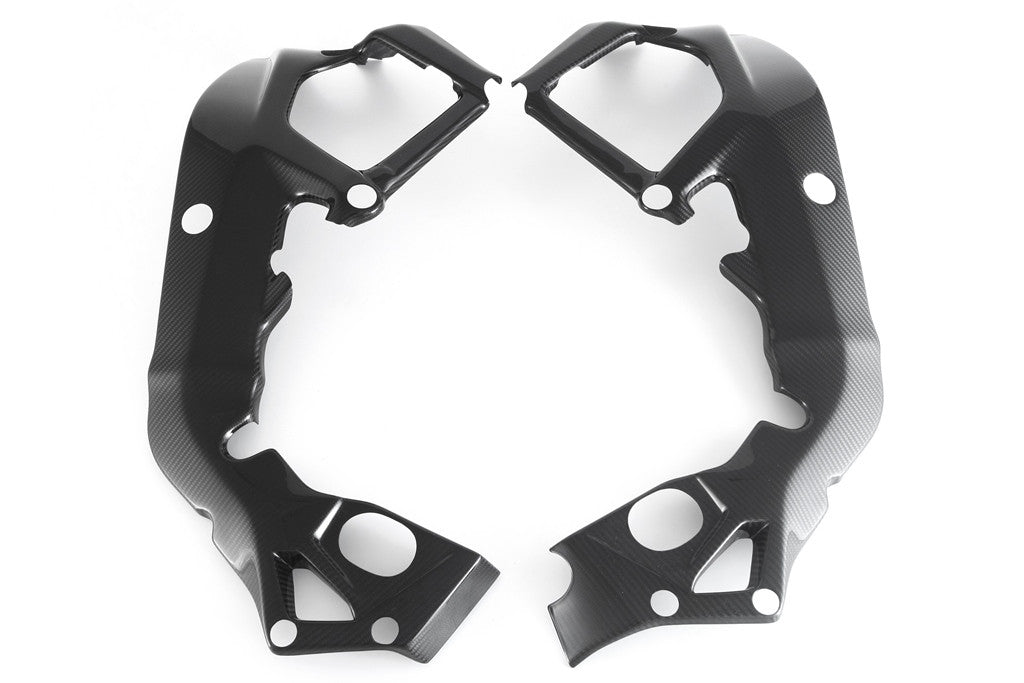 Cubierta de marco Carbon Fullsix BMW S1000RR K46 (15-18)
