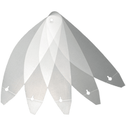 Shoei Abbey sventa gli strappi di 5 pezzi. X-SPR Pro (CWR-F2R)