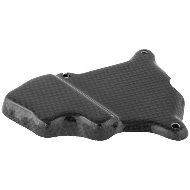 カーボン製ピックアップカバー LighTech BMW S1000RR K46 (09-16) CARB1018 