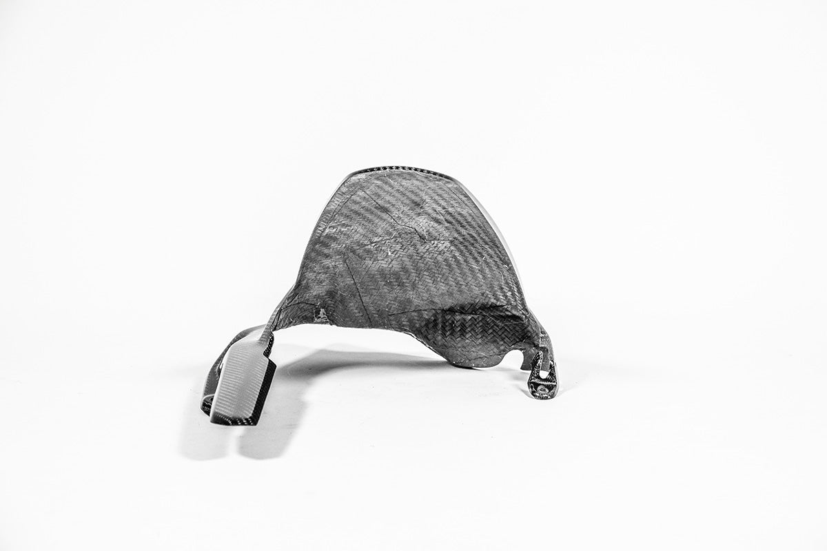 Achterspatbord 200g AP Carbon Line Ducati Panigale V4/S (2025) 