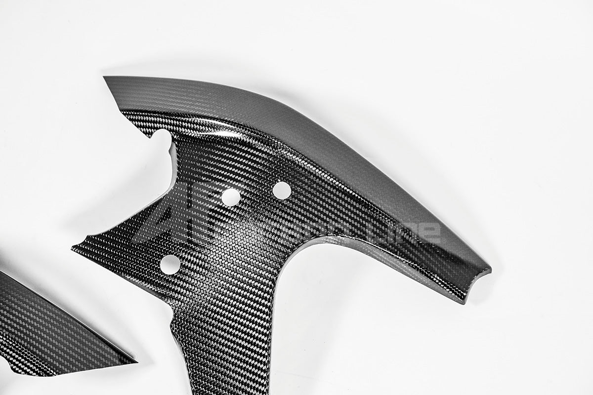 Rahmenabdeckungen 200g AP Carbon Line Ducati Panigale V4/S/R (25-26)
