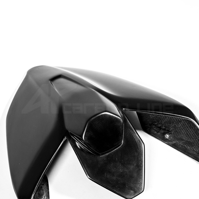 Achterbehuizing Lavatex AP Carbon Line Ducati Panigale V4/S (2025) 