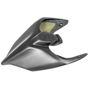 Arka kaplama Karbon PlasticBike Ducati Panigale V2 955 (20-24) 