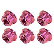 Titanmuttern Kit M10x1,25 12 Kant Kettenradträger Ducati Panigale V4/S/R (18-24) TGP