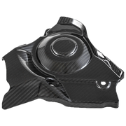 Copertura spot Carbon Fullsix Aprilia RSV4/1100 Factory/R/RR/RF (09-20)