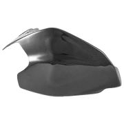 Schwingenabdeckung "SSP" Carbon Fullsix Ducati Panigale 1199/R/S (12-17)
