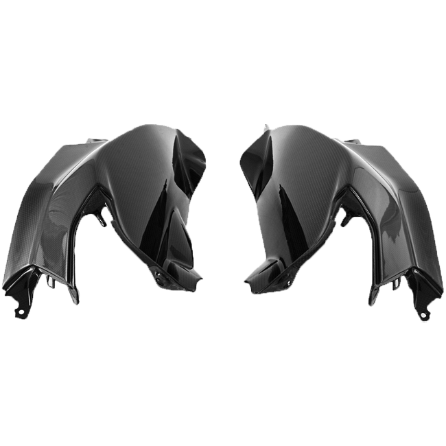 Parti interne Lato rivedere il carbonio Fullsix Ducati Panigale V4/S (2025)