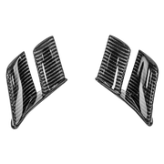 Heck MotoGP Winglets 200g AP Carbonlijn Ducati Panigale V4/S/R (18-24) 