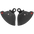 Carbon Bremszangen Kühlung GP Air Ducts Evo Pramac Racing Ducati Panigale V4 (2025)
