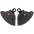 Carbon Bremszangen Kühlung GP Air Ducts Evo Pramac Racing Ducati Panigale V4 (2025)